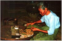 Bilder-Gallerie * Menschen & Lebensweise - Foto-Impressionen * Fotos aus Burma - Old Bagan